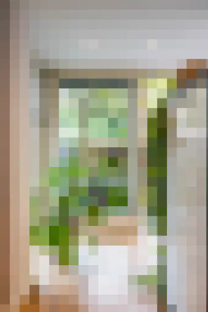 Helper Kerkstraat 44 Groningen thumbnail 22