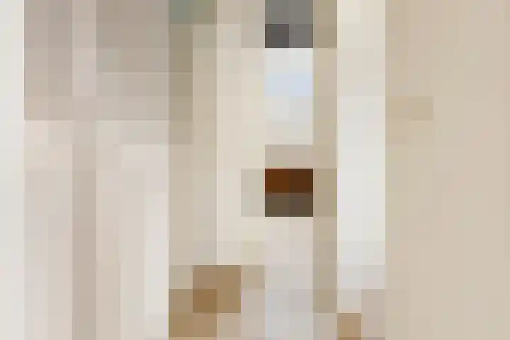 Helper Oostsingel 67 Groningen thumbnail 27