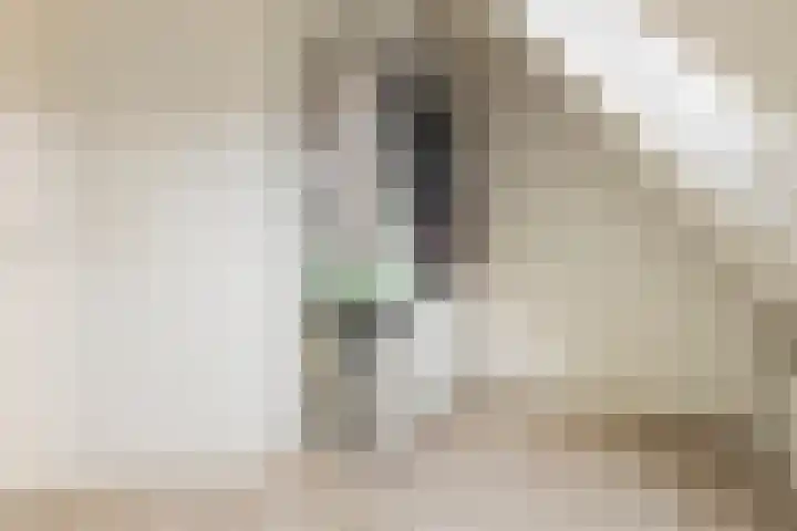 Helper Oostsingel 67 Groningen thumbnail 35