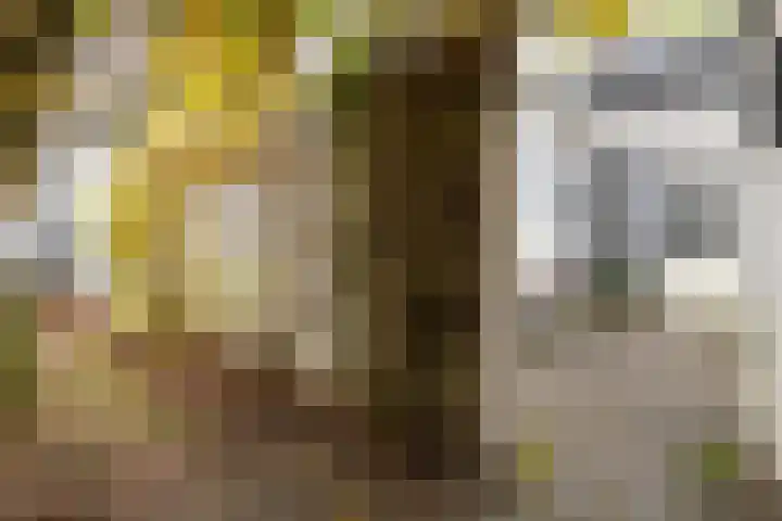 Helper Oostsingel 67 Groningen thumbnail 40