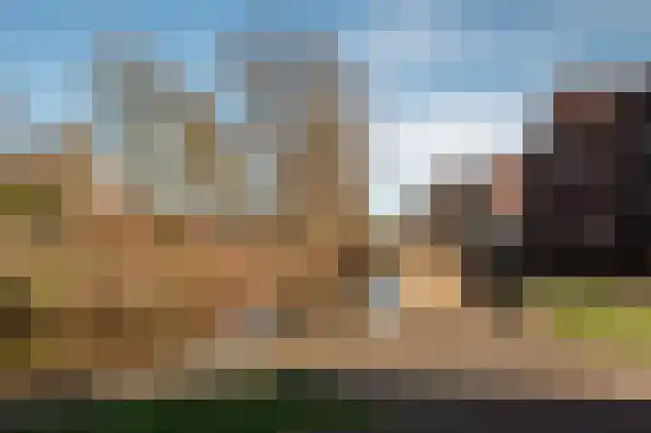 Helper Westsingel 75 Groningen thumbnail 39