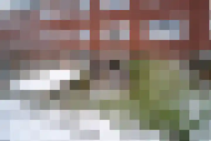 Helper Weststraat 51 Groningen thumbnail 23