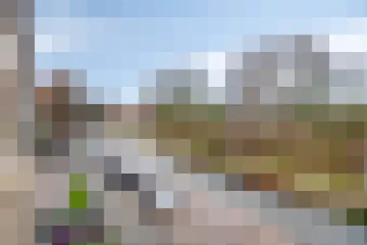 Helperzoom 147 Groningen thumbnail 20