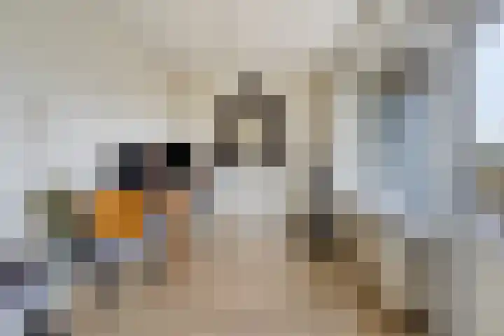 Helperzoom 147 Groningen thumbnail 4