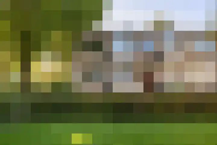 Helperzoom 155 in Groningen