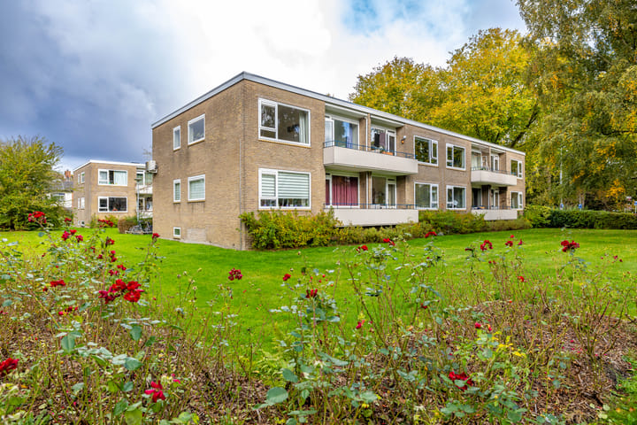 Helperzoom 165 in Groningen foto