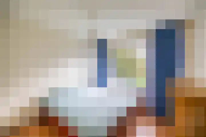 Helperzoom 165 Groningen thumbnail 19