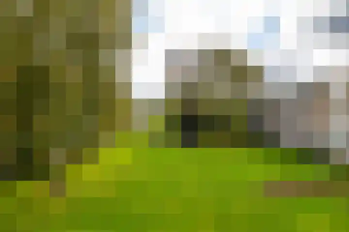 Helperzoom 165 Groningen thumbnail 26