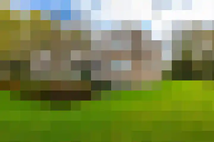 Helperzoom 165 Groningen thumbnail 28