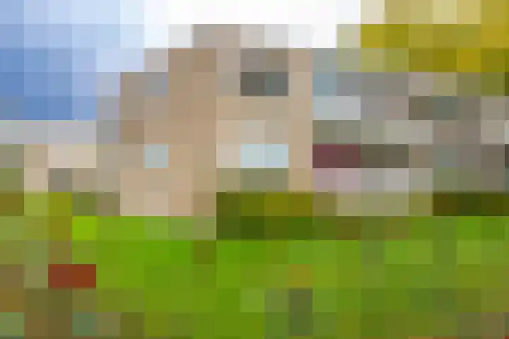 Helperzoom 165 Groningen thumbnail 29