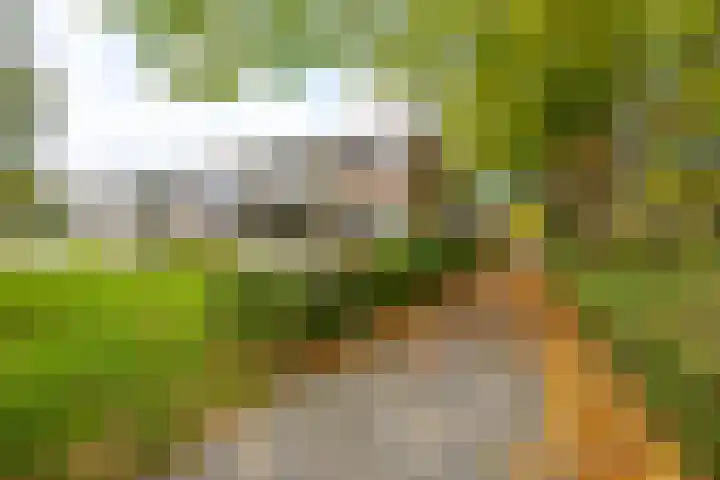 Helperzoom 165 Groningen thumbnail 6