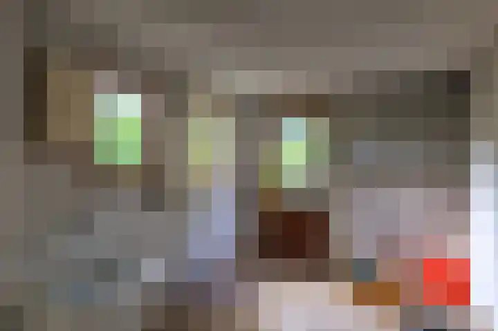 Helperzoom 31 Groningen thumbnail 12