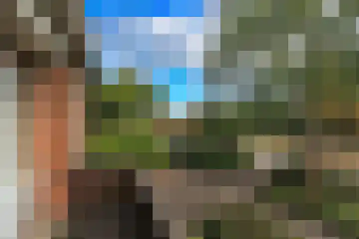 Helperzoom 31 Groningen thumbnail 18