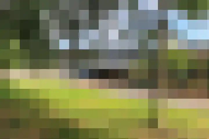 Helperzoom 31 Groningen thumbnail 4