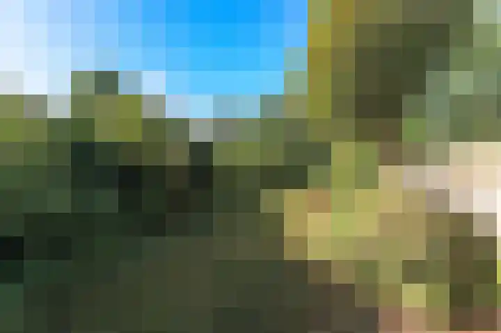 Helperzoom 31 Groningen thumbnail 6