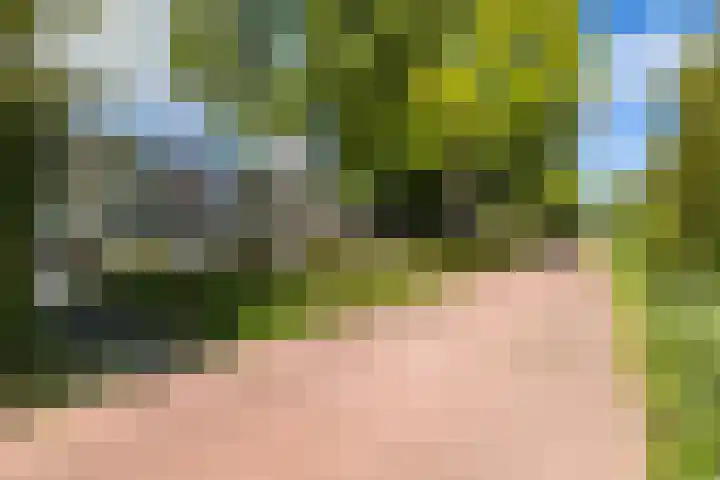 Helperzoom 371 Groningen