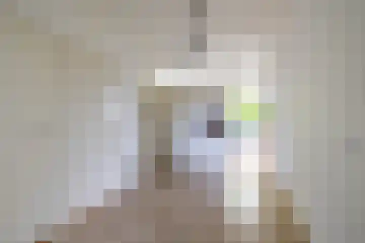 Helperzoom 371 Groningen thumbnail 13