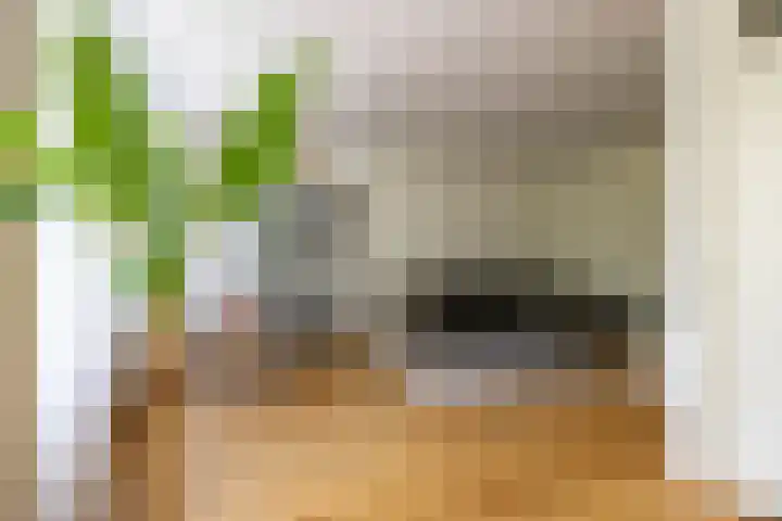 Helperzoom 371 Groningen thumbnail 16