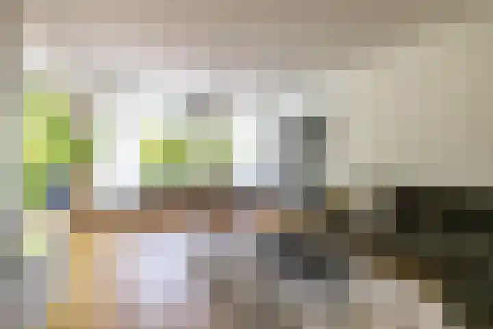 Helperzoom 371 Groningen thumbnail 19