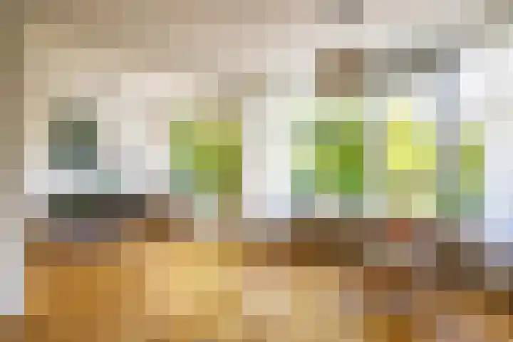 Helperzoom 371 Groningen thumbnail 21