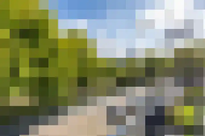 Helperzoom 371 Groningen thumbnail 27