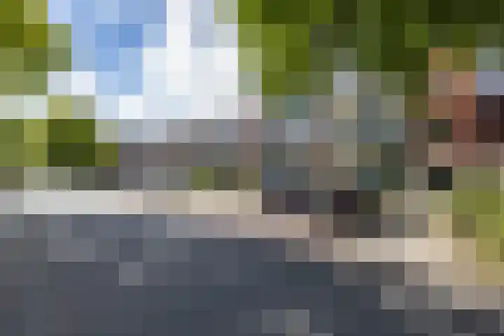 Helperzoom 371 Groningen thumbnail 4