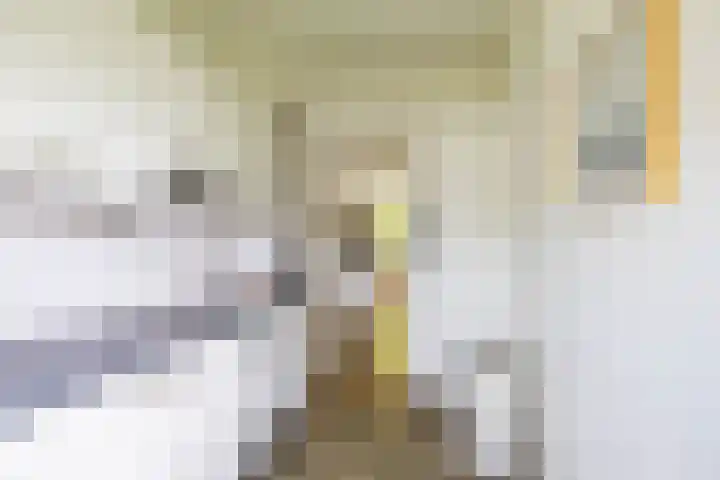 Helperzoom 371 Groningen thumbnail 44