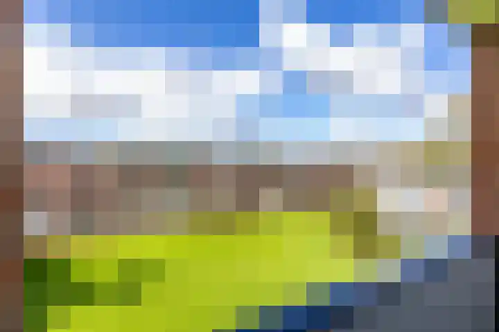 Helperzoom 371 Groningen thumbnail 48