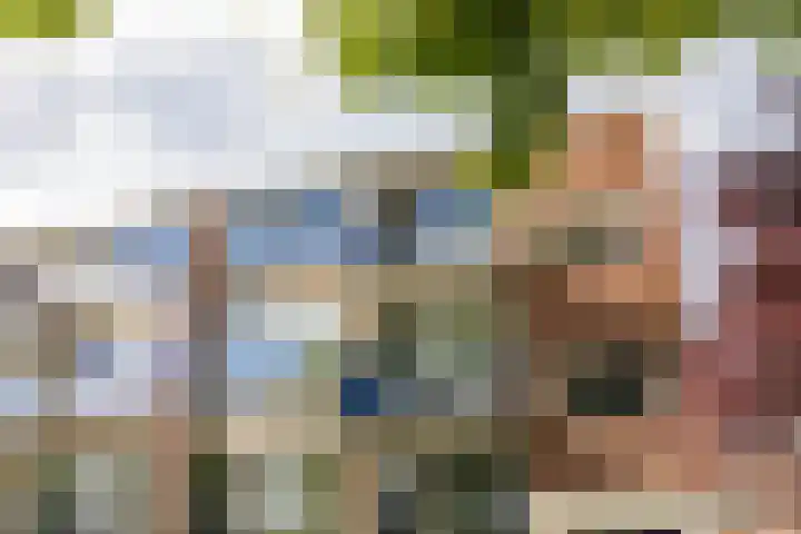 Helperzoom 371 Groningen thumbnail 5