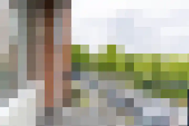 Helperzoom 405 Groningen thumbnail 19
