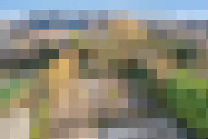 Helperzoom 405 Groningen thumbnail 21