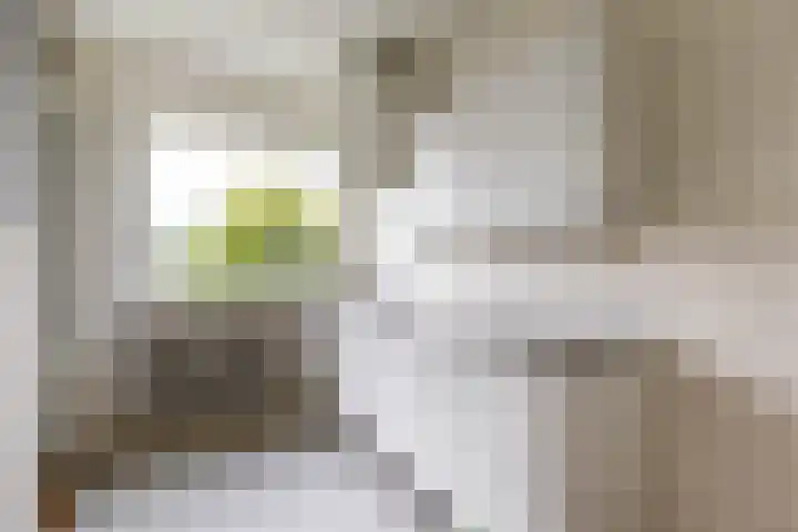 Helperzoom 405 Groningen thumbnail 23
