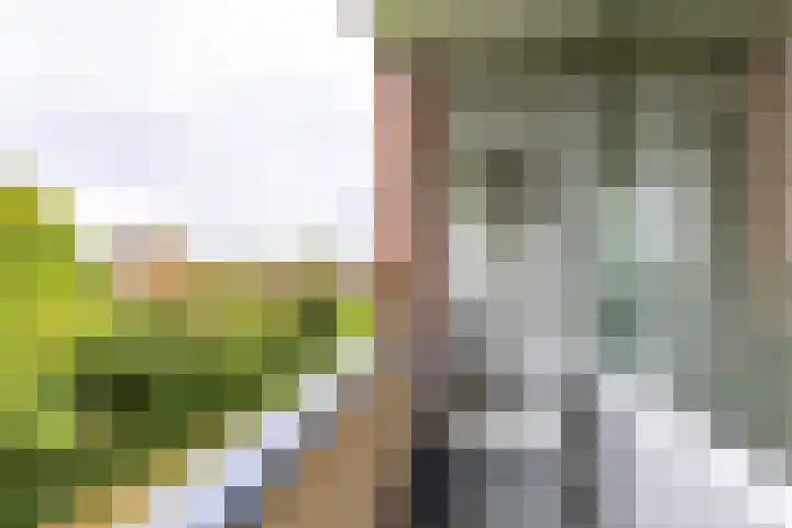 Helperzoom 405 Groningen thumbnail 26