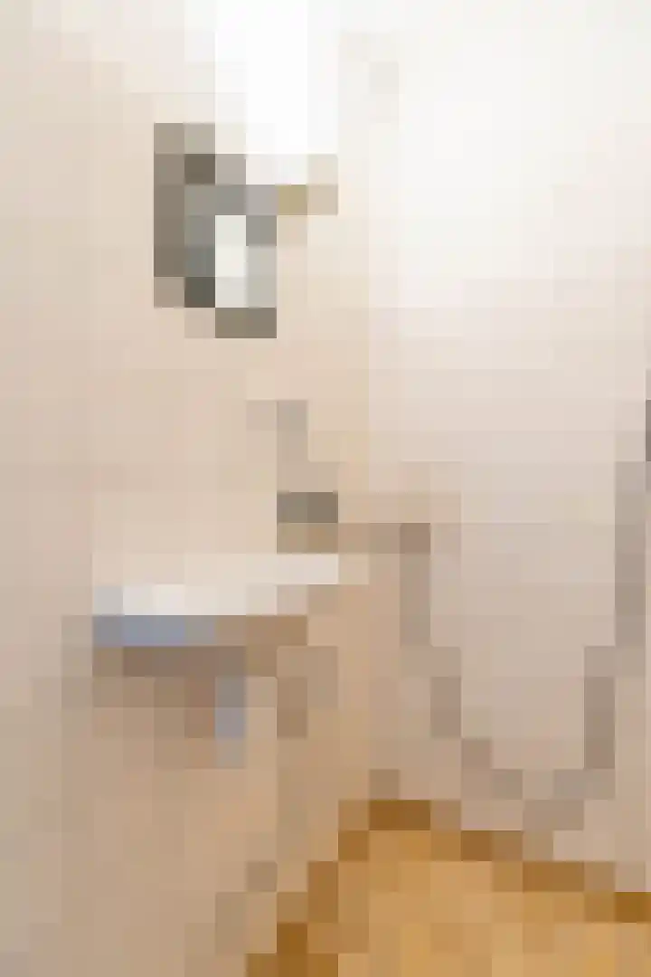 Helperzoom 405 Groningen thumbnail 31