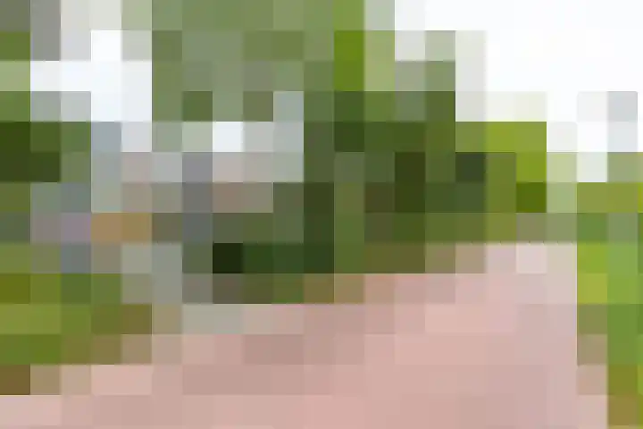 Helperzoom 405 Groningen thumbnail 6