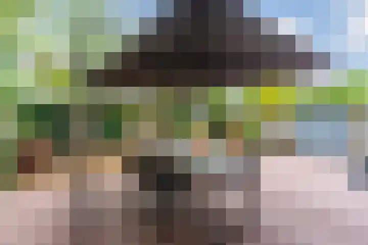 Helsbeemd 3 Eersel thumbnail 31