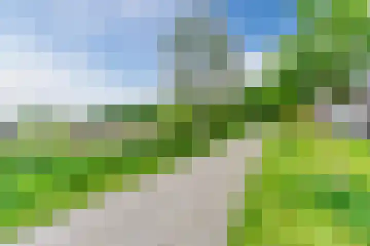 Helsbeemd 3 Eersel thumbnail 35