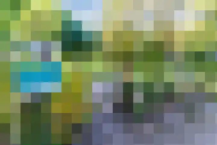 Helsbeemd 3 Eersel thumbnail 36