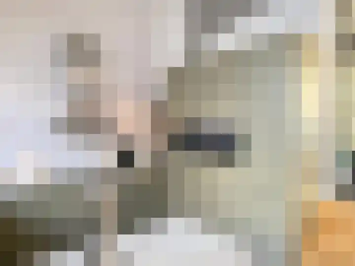 Helschriksel 27 Venlo thumbnail 13