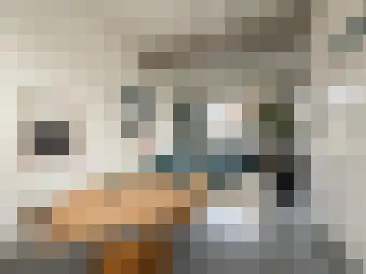 Helschriksel 27 Venlo thumbnail 21
