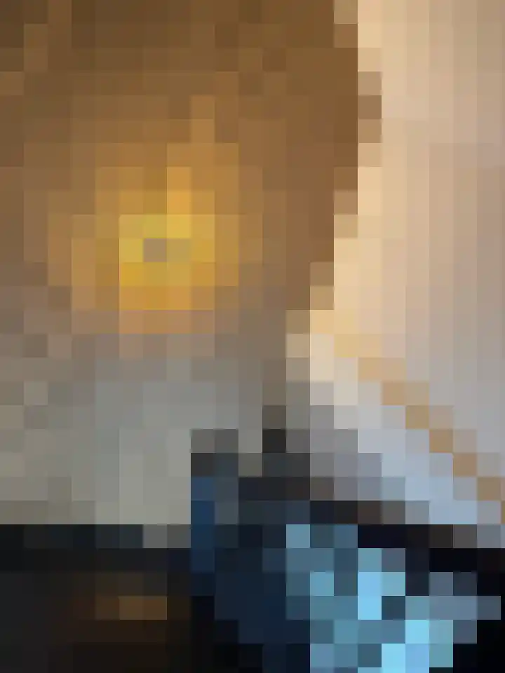 Helschriksel 27 Venlo thumbnail 31
