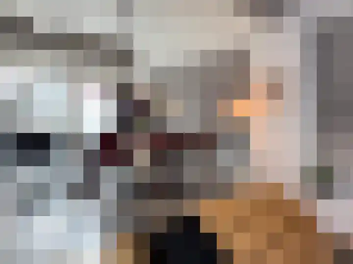 Helschriksel 27 Venlo thumbnail 4