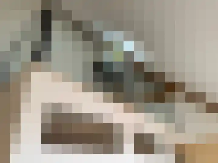Helschriksel 27 Venlo thumbnail 52