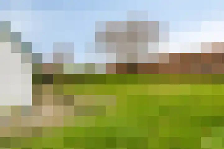 Helsedijk 17 Willemstad thumbnail 24
