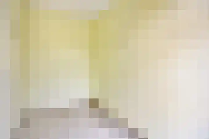 Helsingborgerf 34 Rotterdam thumbnail 17