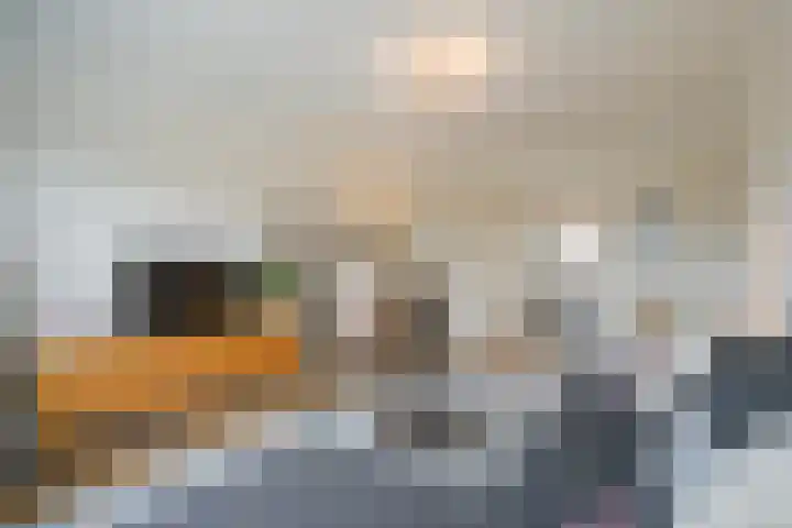 Helsingborgerf 34 Rotterdam thumbnail 25
