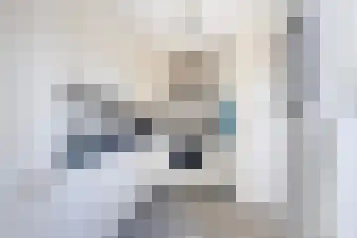 Hemdijk 26 Sneek thumbnail 14