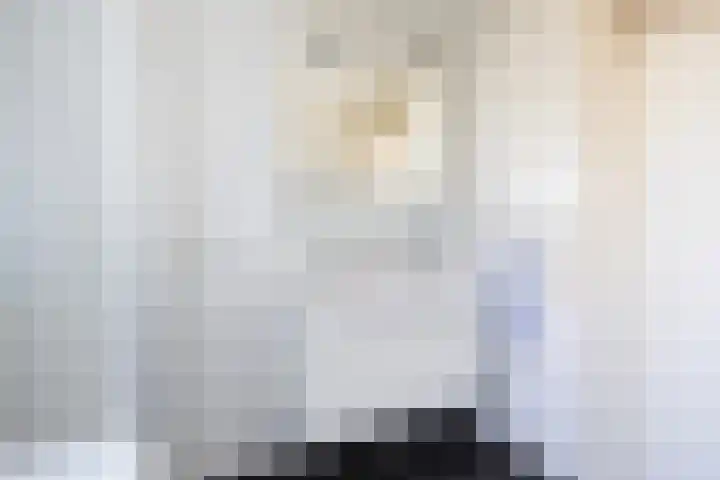 Hemdijk 26 Sneek thumbnail 20