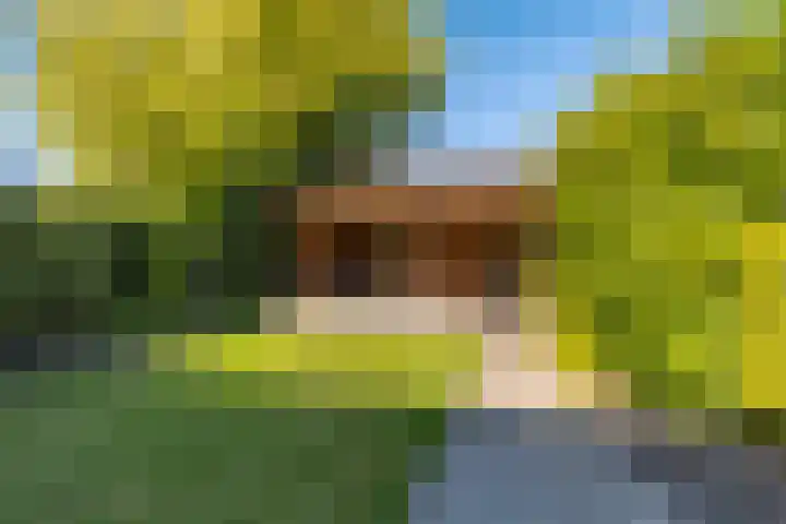 Hemdijk 26 Sneek thumbnail 26