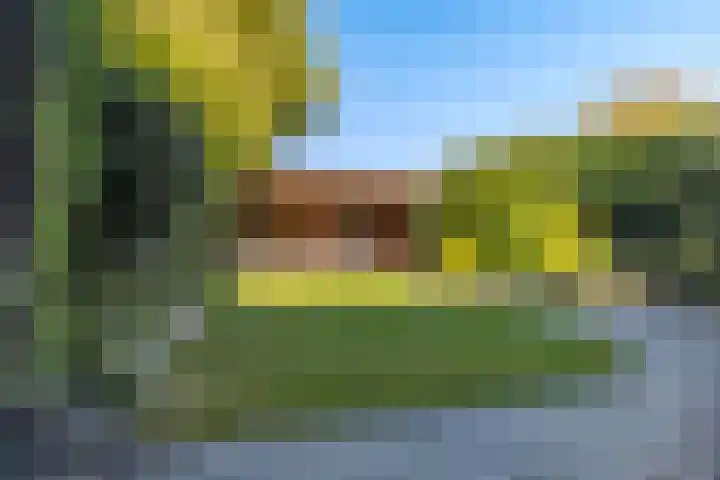 Hemdijk 26 Sneek thumbnail 29